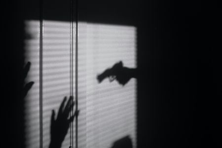 hand gun in silhouette