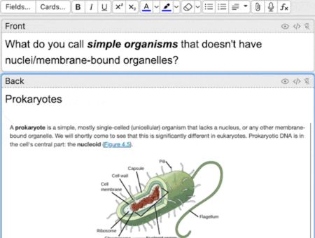 a biology diagram showing prokaryotic cells